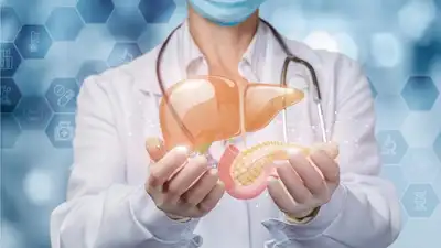 How to Reduce Fatty Liver: ભોજનની થાળીમાં રાખો 3 ચીજો, આટલા દિવસમાં રિવર્સ થશે ફૅટી લિવર; જાણો અન્ય ટિપ્સ - celebrity nutritionist shared 5 effective diet tips to reverse fatty liver in
