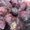 science says cactus fruit findla or prickly pear is very good for health