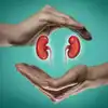 What Foods Help Repair Kidneys,Kidney Health: રસોડાંના આ 5 સસ્તા ...