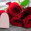 happy rose day