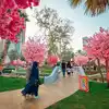 Little Asia Entrainment Zone,വര്‍ണവസന്തം വിരിയിച്ച് ജിദ്ദയിലെ ജാപ്പനീസ് ...