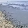 Alappuzha Sea Recession,ആലപ്പുഴയിൽ വീണ്ടും കടൽ ഉൾവലിഞ്ഞു, ഈ മാസം ഇത് ...