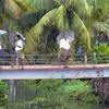 Kerala Weather Update,മഴ കനക്കും;  രണ്ട് ജില്ലകളിൽ ഓറഞ്ച് അലേർട്ട്, 7 ജില്ലകളിൽ യെല്ലോ അലേർട്ട് - kerala weather update orange and yellow alerts in-several-districts - Samayam Malayalam