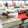 Reasons For Fish Price Hike In UAE Markets,ദുബായിലും അബുദാബിയിലും ...