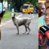 How Rabies Cases Serious Among Kids,വാക്സിനെടുത്താലും കുട്ടികളി ...