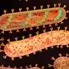 Symptoms And Prevention Method Of Cholera,കോളറ ; അറിയാം രോഗലക്ഷണങ്ങളും ...