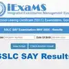 Sslc Say Results 2025,എസ്എസ്എൽസി സേ പരീക്ഷാഫലം പ്രസിദ്ധീകരിച്ചു ...