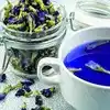 Blue Tea,ചെറുപ്പം നിലനിർത്താൻ നീല ചായ മാജിക്! - blue tea for beautiful ...