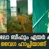 Puthur Zoological Park,വിഐപി പ രി ഗണനയിൽ വിലസി വൈ ഗ; ഇനി തുറന്ന ...