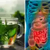 How to Cleanse and Detox Gut or Intestines Naturally; आतडे आतून बाहेर ...