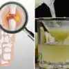 How to Reduce Uric Acid and Gout Problem Solution With Sour Water aka ...