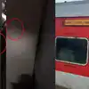 नांदेड-पनवेल रेल्वेत उंदीर, झुरळे अन् ढेकणांचा सुळसुळाट; प्रवाशांच्या सुरक्षिततेचा प्रश्न ऐरणीवर