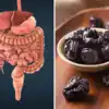 According Food Science And Nutrition Dried Plum Can Reduce Constipation ...