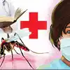 Malaria and Dengue Patients are increasing in Mumbai Municipal ...