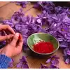 Kashmir Saffron Farming in Mumbai; 'कूल' काश्मीरचं दर्जेदार केशर आता ...