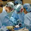 Living Fly Inside Mans Intestines; कॅन्सरच्या तपासणीसाठी पोटात कॅमेरा ...
