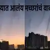 Mosquito Tornado Swirls on Mutha River in Pune - पुण्यात आलंय मच्छरांचं ...