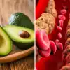 Health Benefits Of Avocado: नसांमधील बॅड कोलेस्ट्रॉल फेकेल बाहेर