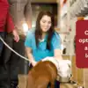 Career with animals: प्राणीप्रेमींसाठी उत्तम करिअर पर्याय | Career ...