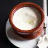 perfect curd at home: आता घरी दही लावणे होईल सोपे lMaharashtra Times