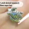 Vastu Tips : कासव हा समुद्रातून आलेला असून त्याला लक्ष्मी देवीचे रुप ...