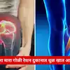 Benefits of Eating Amaranth For Get Rid Of Arthritis Gout Pain And Make ...