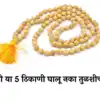 Tulsi Mala Benefits | Can Tulsi Mala be worn by everyone| चुकूनही या ५ ...