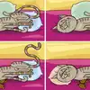 Optical Illusion Puzzle Find 5 hidden differences between these 2 Cats ...