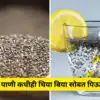 Chia seeds lemon water side effects;वजन कमी करणारे पेय, चिया सीड्सचे