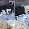 Man makes a 12 foot roti by hand food Video Viral | इतकी मोठी चपाती कधी ...