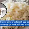 How To Use Leftover Rice For Get Rid Of Cockroaches, घरातील झुरळं पळवून ...