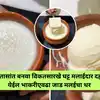 How To Make Creamy Thick Curd At Home, How To Set Fresh, Thick, Malai ...