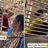 Women fight with Kinnara in Mumbai Local Train Video Viral | मुलगा ...