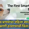 Uclouldlink showcased petphone for dogs cats mwc 2025: पाळीव ...
