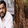 राजू शेट्टींनी सरकारच्या निर्णयाचा कंडका पाडला; ऊस उत्पादक शेतकऱ्याला ...