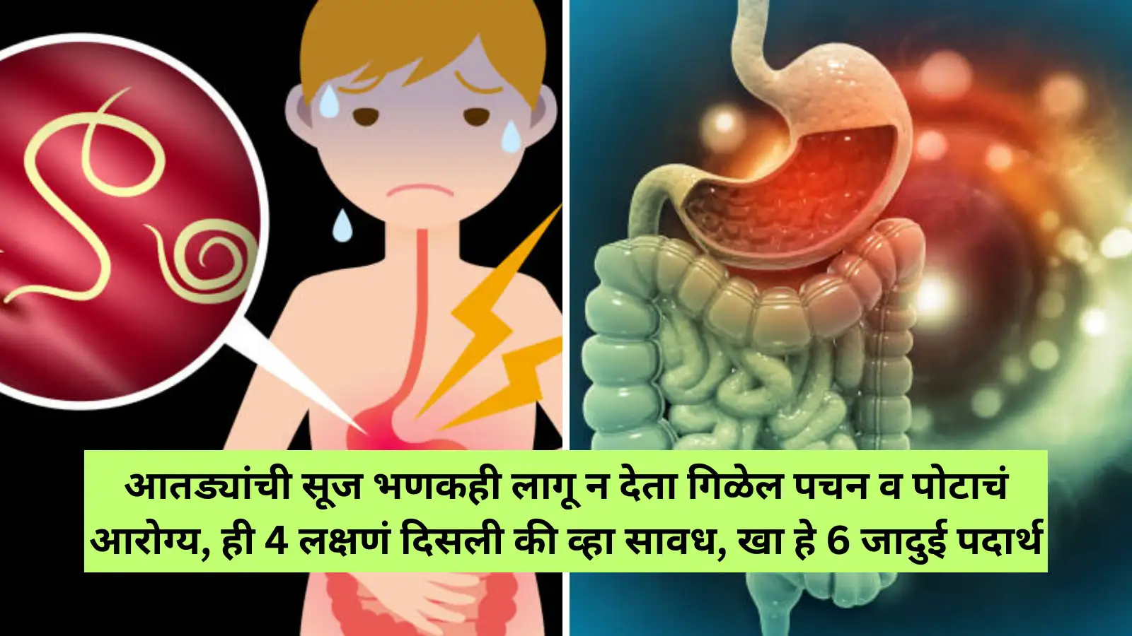 Reptile Stomach Problem Symptoms photo