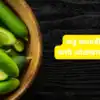 How to Avoid Bitter Cucumber in Summer – Smart Buying Tips & Tricks ...