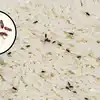 Home Remedies Tricks For Avoid Bugs Insect In Grains, Wheat, Rice; गहू ...