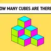 Can you count how many blocks are there in the picture | चित्रामध्ये ...