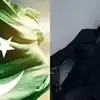 Irrfan Khan On Pakistan; 'मी तिथून परत येईन की...' इरफान खान यांनी PAK ...