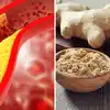 Ginger dry ginger powder for bad cholesterol and reduce heart attack ...