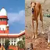 SC Order On Stray Dogs: समस्येचे वाकडे शेपूट - supreme court big order ...