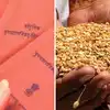 how to use Ration Card Pvc Smart Card and see Online Process here: रेशन ...