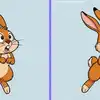 Can You Find the 3 Differences Between These Two Rabbits in 10 Seconds ...