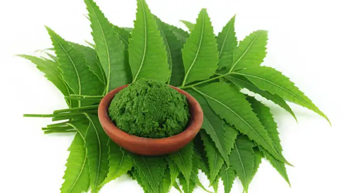 अँटी-बॅक्टेरियल आणि अँटी-फंगल गुणधर्म