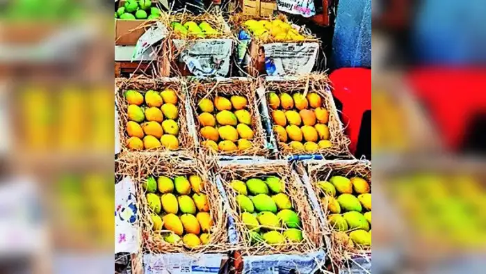 हापूस आंब्यासाठी एप्रिलपर्यंत थांबा हापूस आंब्यासाठी एप्रिलपर्यंत थांबा