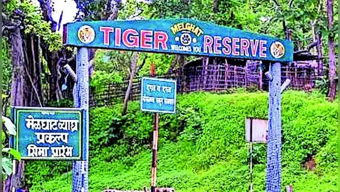 मेळघाट परिसरात ‘हाय अलर्ट’ मेळघाट परिसरात ‘हाय अलर्ट’