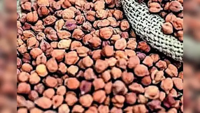 आधारभूत दराने होणार हरभरा खरेदी आधारभूत दराने होणार हरभरा खरेदी