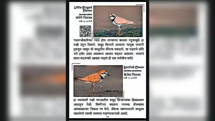 मराठीतून उलगडणार पक्ष्यांची माहिती मराठीतून उलगडणार पक्ष्यांची माहिती