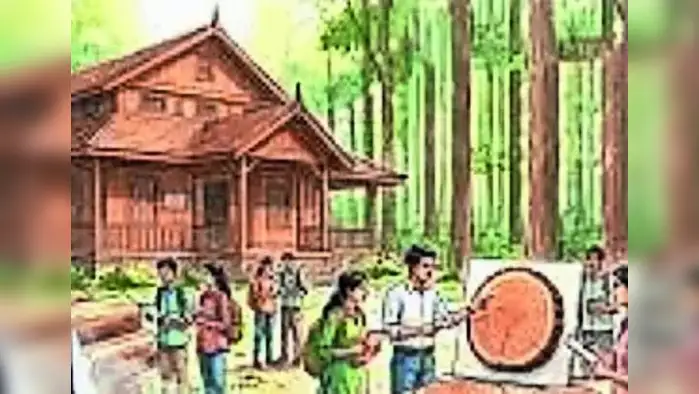 बल्लारपुरात काष्ठसंग्रहालय उभारणार बल्लारपुरात काष्ठसंग्रहालय उभारणार